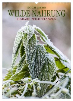 NOCH MEHR WILDE NAHRUNG (Wandkalender 2026 DIN A2 hoch), CALVENDO Monatskalender