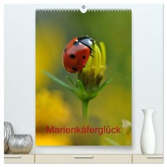 Marienkäferglück (hochwertiger Premium Wandkalender 2026 DIN A2 hoch), Kunstdruck in Hochglanz Marienkäferglück (hochwertiger Premium Wandkalender 2026 DIN A2 hoch), Kunstdruck in Hochglanz