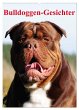Bulldoggen-Gesichter (Wandkalender 2026... - Bild 1