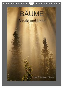 Cover BÄUME (Wandkalender 2026 DIN A4 hoch), CALVENDO Monatskalender