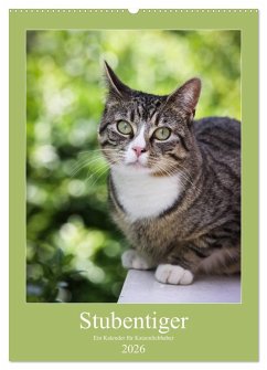 Stubentiger (Wandkalender 2026 DIN A2 hoch), CALVENDO Monatskalender