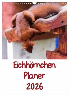 Eichhörnchen Planer 2026 (Wandkalender 2026 DIN A3 hoch), CALVENDO Monatskalender
