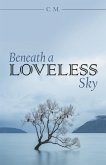 Beneath a Loveless Sky (eBook, ePUB)