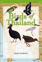 Birds of Thailand Birds of Thailand