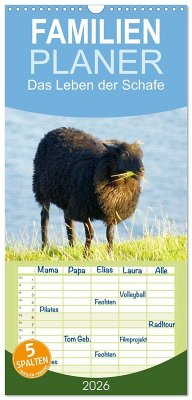 Cover Familienplaner 2026 - Das Leben der Schafe mit 5 Spalten (Wandkalender, 21 x 45 cm) CALVENDO