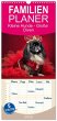 Familienplaner 2026 - Kleine Hunde -... - Bild 1