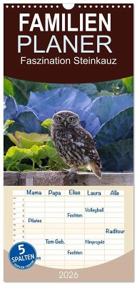 Cover Familienplaner 2026 - Faszination Steinkauz mit 5 Spalten (Wandkalender, 21 x 45 cm) CALVENDO