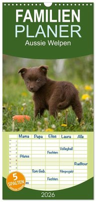 Cover Familienplaner 2026 - Aussie Welpen 2026 mit 5 Spalten (Wandkalender, 21 x 45 cm) CALVENDO