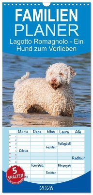 Cover Familienplaner 2026 - Lagotto Romagnolo - Ein Hund zum Verlieben mit 5 Spalten (Wandkalender, 21 x 45 cm) CALVENDO