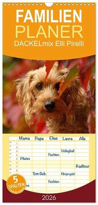 Familienplaner 2026 - DACKELmix Elli Pirelli mit 5 Spalten (Wandkalender, 21 x 45 cm) CALVENDO