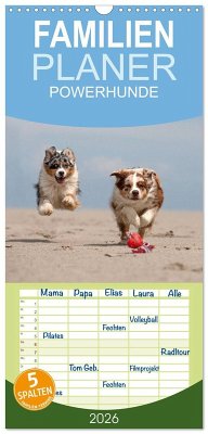 Familienplaner 2026 - POWERHUNDE 2026 mit 5 Spalten (Wandkalender, 21 x 45 cm) CALVENDO