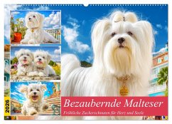 Bezaubernde Malteser. Fröhliche Zuckerschnuten für Herz und Seele (Wandkalender 2026 DIN A2 quer), CALVENDO Monatskalender