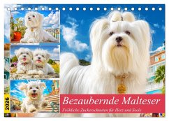 Bezaubernde Malteser. Fröhliche Zuckerschnuten für Herz und Seele (Tischkalender 2026 DIN A5 quer), CALVENDO Monatskalender Bezaubernde Malteser. Fröhliche Zuckerschnuten für Herz und Seele (Tischkalender 2026 DIN A5 quer), CALVENDO Monatskalender