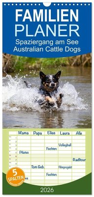 Familienplaner 2026 - Spaziergang am See Australian Cattle Dogs mit 5 Spalten (Wandkalender, 21 x 45 cm) CALVENDO