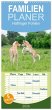 Familienplaner 2026 - Haflinger Fohlen... - Bild 1