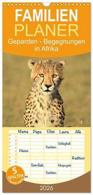 Familienplaner 2026 - Geparden - Begegnungen in Afrika mit 5 Spalten (Wandkalender, 21 x 45 cm) CALVENDO