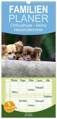 Familienplaner 2026 - Chihuahuas - kleine Herzensbrecher mit 5 Spalten (Wandkalender, 21 x 45 cm) CALVENDO Familienplaner 2026 - Chihuahuas - kleine Herzensbrecher mit 5 Spalten (Wandkalender, 21 x 45 cm) CALVENDO
