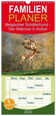 Familienplaner 2026 - Belgischer Schäferhund - Der Malinois in Action mit 5 Spalten (Wandkalender, 21 x 45 cm) CALVENDO