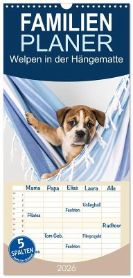 Familienplaner 2026 - Welpen in der Hängematte mit 5 Spalten (Wandkalender, 21 x 45 cm) CALVENDO