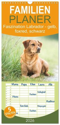 Familienplaner 2026 - Faszination Labrador - gelb, foxred, schwarz mit 5 Spalten (Wandkalender, 21 x 45 cm) CALVENDO