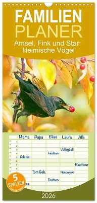 Familienplaner 2026 - Amsel, Fink und Star: Heimische Vögel mit 5 Spalten (Wandkalender, 21 x 45 cm) CALVENDO