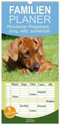 Cover Familienplaner 2026 - Rhodesian Ridgeback - Jung, wild, zuckersüß mit 5 Spalten (Wandkalender, 21 x 45 cm) CALVENDO