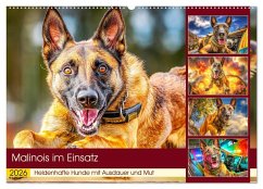 Malinois im Einsatz. Heldenhafte Hunde mit Ausdauer und Mut (Wandkalender 2026 DIN A2 quer), CALVENDO Monatskalender Malinois im Einsatz. Heldenhafte Hunde mit Ausdauer und Mut (Wandkalender 2026 DIN A2 quer), CALVENDO Monatskalender