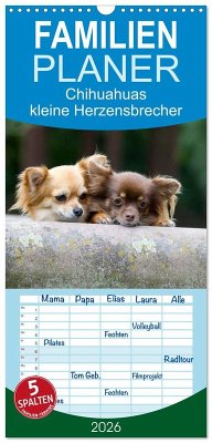 Cover Familienplaner 2026 - Chihuahuas - kleine Herzensbrecher mit 5 Spalten (Wandkalender, 21 x 45 cm) CALVENDO