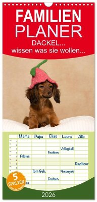 Familienplaner 2026 - DACKEL... wissen was sie wollen... (und was nicht...) mit 5 Spalten (Wandkalender, 21 x 45 cm) CALVENDO