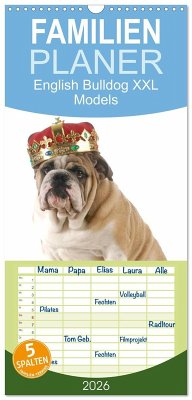 Cover Familienplaner 2026 - English Bulldog XXL Models mit 5 Spalten (Wandkalender, 21 x 45 cm) CALVENDO