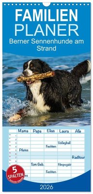 Familienplaner 2026 - Berner Sennenhunde am Strand mit 5 Spalten (Wandkalender, 21 x 45 cm) CALVENDO