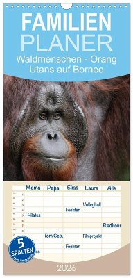 Familienplaner 2026 - Waldmenschen - Orang Utans auf Borneo mit 5 Spalten (Wandkalender, 21 x 45 cm) CALVENDO