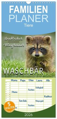 Familienplaner 2026 - Waschbär - Niedlicher Allesfresser mit 5 Spalten (Wandkalender, 21 x 45 cm) CALVENDO