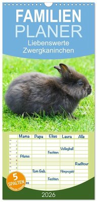 Familienplaner 2026 - Liebenswerte Zwergkaninchen mit 5 Spalten (Wandkalender, 21 x 45 cm) CALVENDO