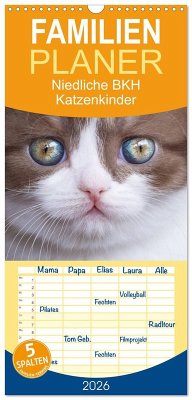 Familienplaner 2026 - Niedliche BKH Katzenkinder mit 5 Spalten (Wandkalender, 21 x 45 cm) CALVENDO Familienplaner 2026 - Niedliche BKH Katzenkinder mit 5 Spalten (Wandkalender, 21 x 45 cm) CALVENDO