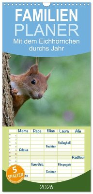 Familienplaner 2026 - Mit dem Eichhörnchen durchs Jahr mit 5 Spalten (Wandkalender, 21 x 45 cm) CALVENDO Familienplaner 2026 - Mit dem Eichhörnchen durchs Jahr mit 5 Spalten (Wandkalender, 21 x 45 cm) CALVENDO