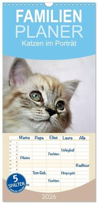 Familienplaner 2026 - Katzen im Porträt / Geburtstagskalender mit 5 Spalten (Wandkalender, 21 x 45 cm) CALVENDO