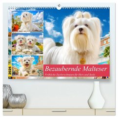 Bezaubernde Malteser. Fröhliche Zuckerschnuten für Herz und Seele (hochwertiger Premium Wandkalender 2026 DIN A2 quer), Kunstdruck in Hochglanz Bezaubernde Malteser. Fröhliche Zuckerschnuten für Herz und Seele (hochwertiger Premium Wandkalender 2026 DIN A2 quer), Kunstdruck in Hochglanz