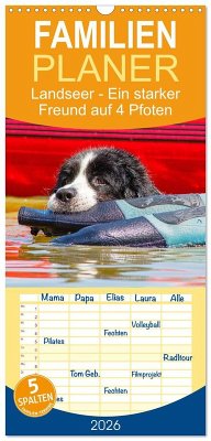 Familienplaner 2026 - Landseer - Ein starker Freund auf 4 Pfoten mit 5 Spalten (Wandkalender, 21 x 45 cm) CALVENDO
