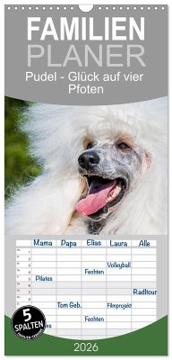Familienplaner 2026 - Pudel - Glück auf vier Pfoten mit 5 Spalten (Wandkalender, 21 x 45 cm) CALVENDO
