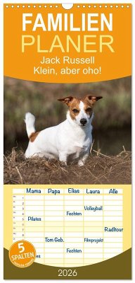 Familienplaner 2026 - Jack Russell - Klein, aber oho! mit 5 Spalten (Wandkalender, 21 x 45 cm) CALVENDO