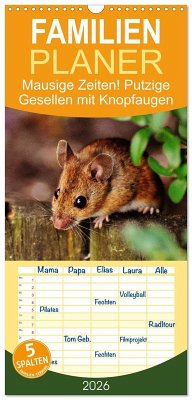 Familienplaner 2026 - Mausige Zeiten! Putzige Gesellen mit Knopfaugen mit 5 Spalten (Wandkalender, 21 x 45 cm) CALVENDO