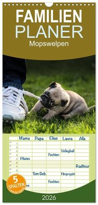 Cover Familienplaner 2026 - Mopswelpen mit 5 Spalten (Wandkalender, 21 x 45 cm) CALVENDO