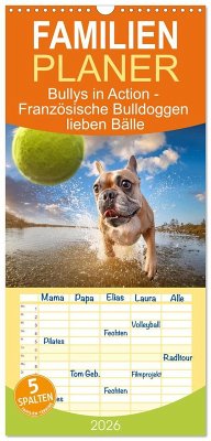 Familienplaner 2026 - Bullys in Action - Französische Bulldoggen lieben Bälle mit 5 Spalten (Wandkalender, 21 x 45 cm) CALVENDO