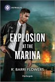Explosion at the Marina (eBook, ePUB) Explosion at the Marina (eBook, ePUB)