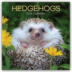 Cover Hedgehogs - Igel 2026 - 16-Monatskalender