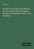 Fossile Fische, Krebse, und Pflanzen aus dem Plattenkalke der jüngsten Kkreide in Westphalen von dr. W. von der Marck Fossile Fische, Krebse, und Pflanzen aus dem Plattenkalke der jüngsten Kkreide in Westphalen von dr. W. von der Marck