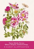 Maria Sibylla Merian - Acht Kunst-Klappkarten