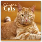 Ginger Cats - Rothaarige Katzen 2026 - Wand-Kalender Ginger Cats - Rothaarige Katzen 2026 - Wand-Kalender