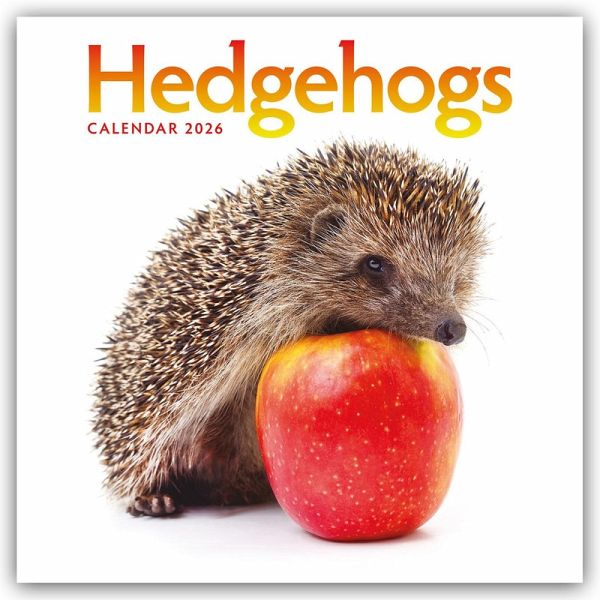 Hedgehogs - Igel 2026 - Wand-Kalender Hedgehogs - Igel 2026 - Wand-Kalender